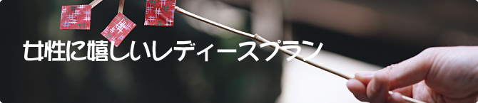 女性に嬉しいレディースプラン