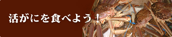 活がにを食べよう!