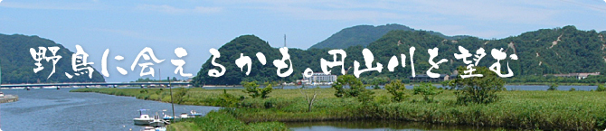 野鳥に会えるかも。円山川を望む