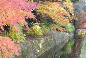 kinkakuji