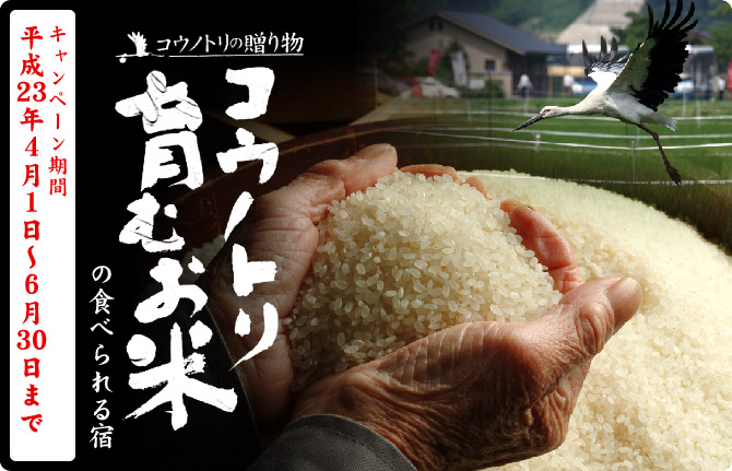 「コウノトリ育むお米」が食べられる宿